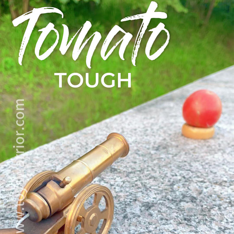 Brass Mini Cannon | Durable, Fun & Firecracker-Ready